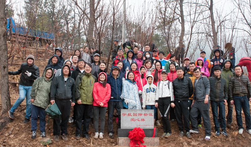 2016 tree planting activities 